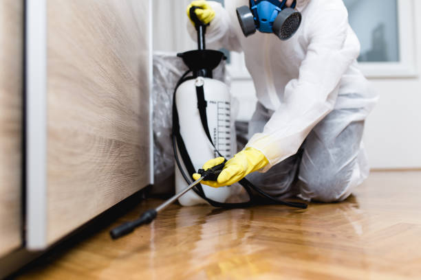 Best Mosquito Control Services  in Beaver Dam, KY
